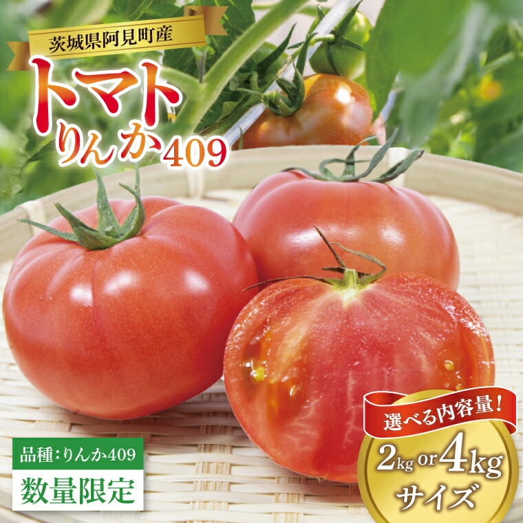【ふるさと納税】【先行予約 5月下旬から順次配送】【選べる内容量】トマト（品種：りんか409）約2kg or 約4kg【野菜 甘みと酸味 とまと 茨城県 阿見町産】(76-07)