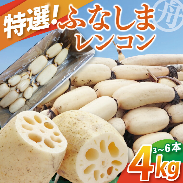 ふるさと納税】【先行予約】【特選】ふなしま蓮根(4kg箱)3～6本 
