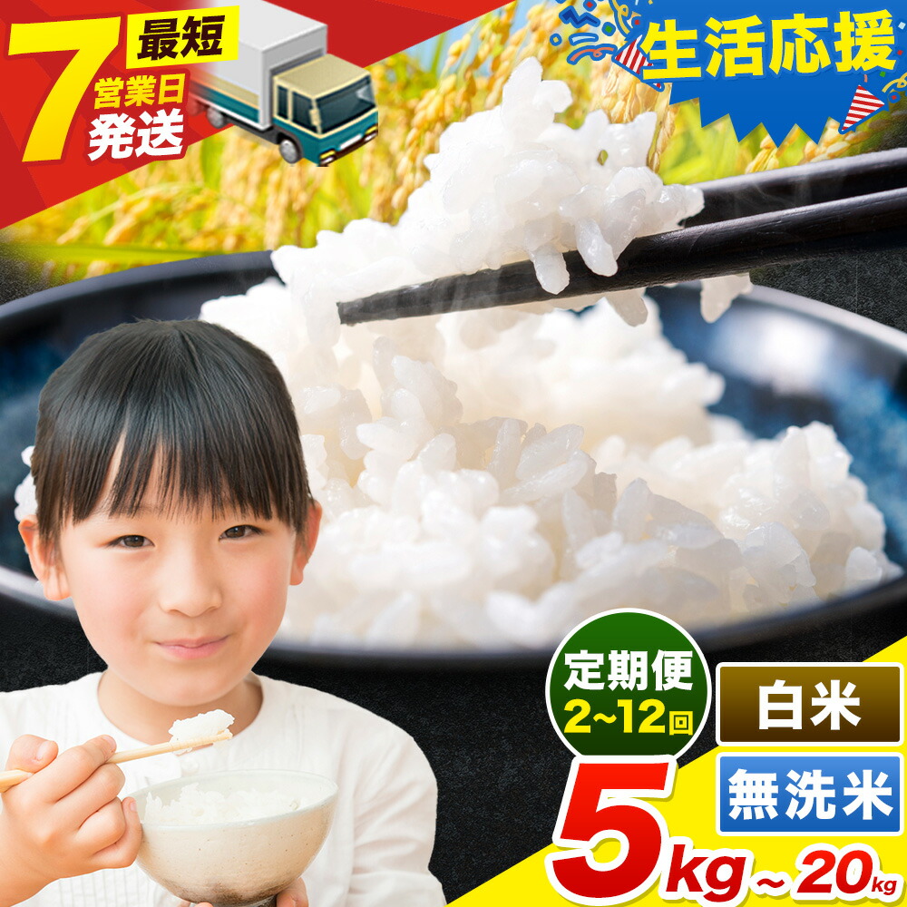 【本日限り値下げ】お米　にじのきらめき　5kg×3=15Kg 新潟県産 にじのきらめき 5キロ 白米 令和6年産 プレゼント付き