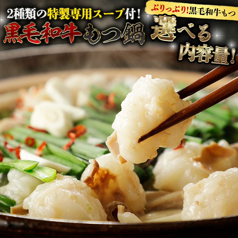 【ふるさと納税】黒毛和牛 もつ鍋 セット 牛もつ 選べる内容量 和牛 鍋 鍋セット 醤油 塩 冷凍 モツ  ホルモン ふるさと納税 7000円 12000円 お手軽