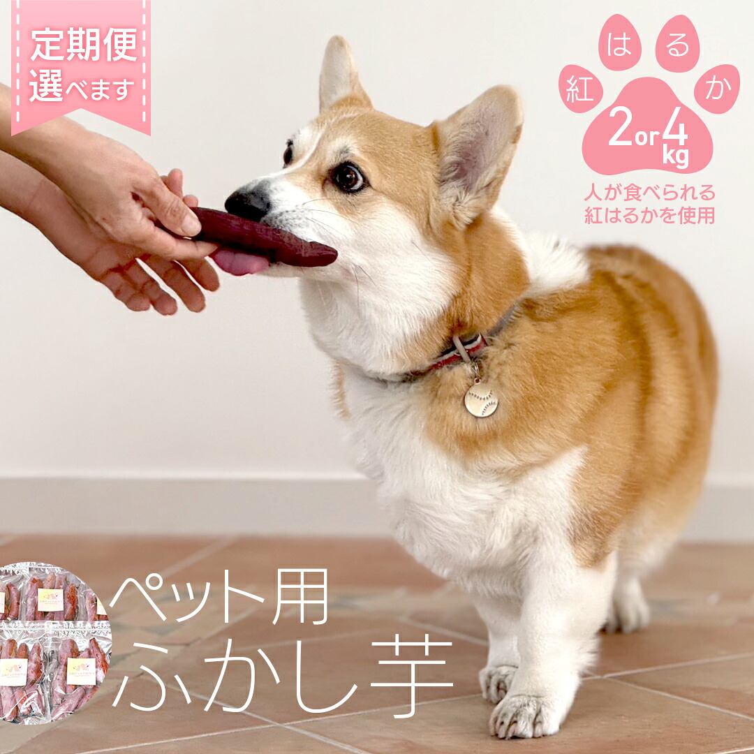 【ふるさと納税】【選べる 送りとどける発生率 認知的内容量 】 愛玩動物用 ふかし芋 小芋 紅遠遠しい 2kg 4kg 愛玩動物 芋 いも お兄ちゃん 毛の荒物 愛玩動物ボンネット 犬 猫 軽い食事 ヘルシー オヤツ 定期便
