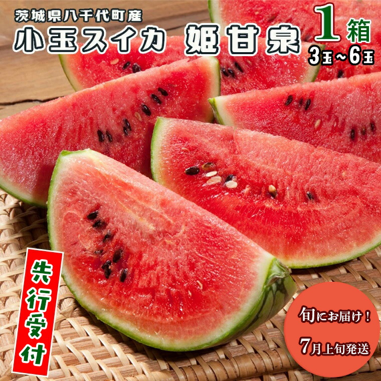 楽天市場】【ふるさと納税】【 先行予約 2026年5月下旬 以降発送