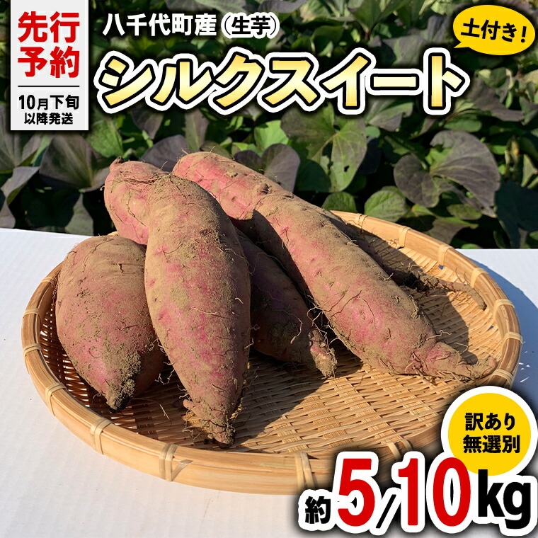 【ふるさと納税】 【 選べる 内容量 】 訳あり 無選別 八千代町産 シルクスイート 生芋 土付き さつまいも サツマイモ 芋 いも イモ ワケアリ 訳アリ 八千代町 ふるさと納税 5000円 8000円 【 先行予約 2025年10月下旬以降発送 】