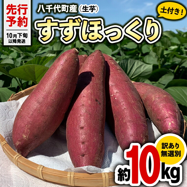 【ふるさと納税】【 2025年10月下旬以降発送 】 訳あり 茨城 八千代町産 さつまいも すずほっくり 土付き 無選別 生芋 約 10kg