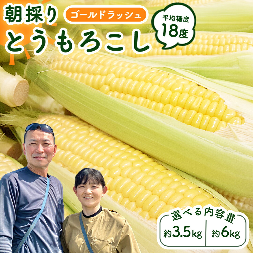 【ふるさと納税】【先行予約 令和7年 6月下旬 以降発送 】 朝採り とうもろこし （ ゴールドラッシュ ） 【 選べる内容量 】 トウモロコシ 朝採り 甘い 新鮮 6kg 3.5kg スイートコーン コーン 野菜 極甘 岩田さん 2025