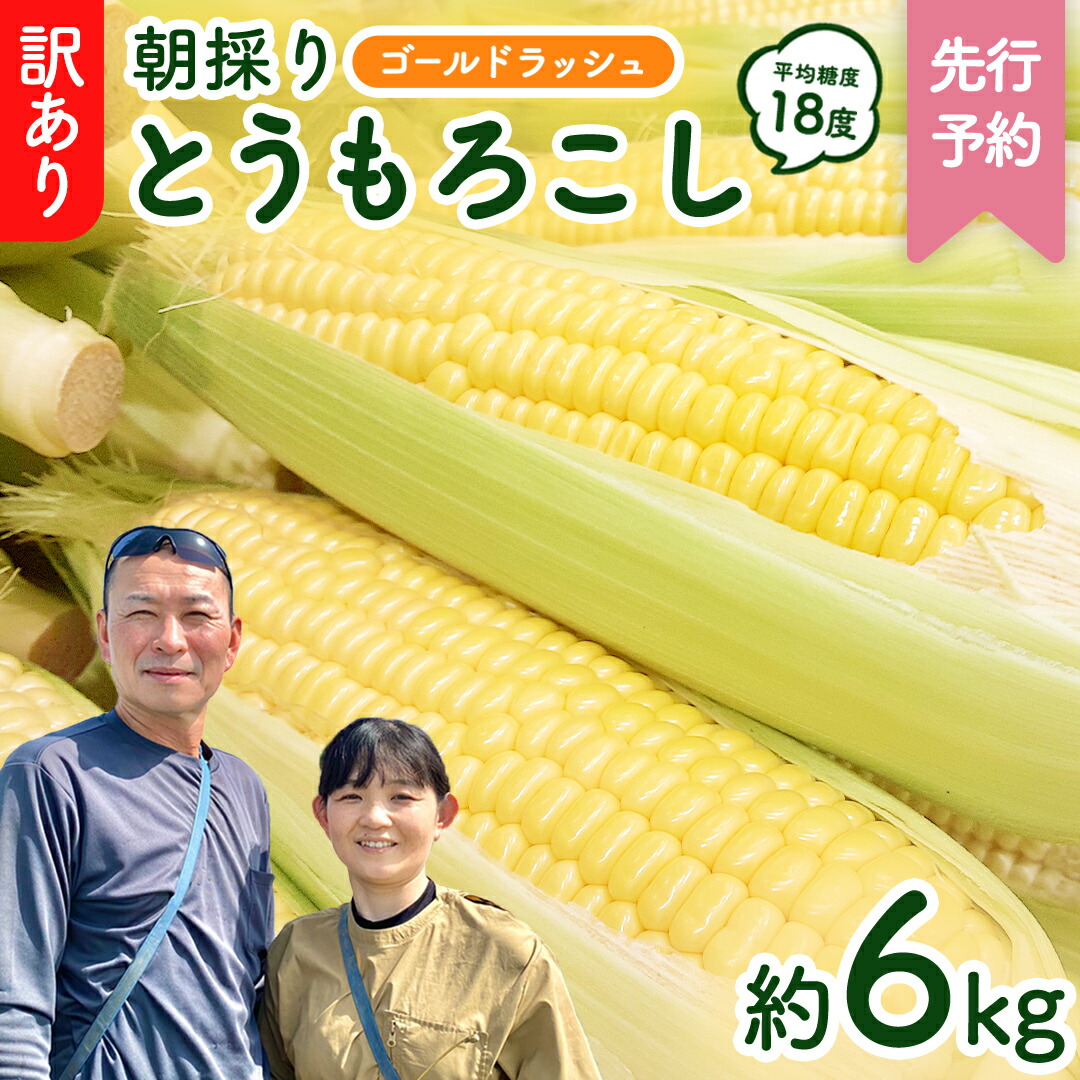 【ふるさと納税】【 先行予約 2025年 6月下旬 以降発送】【 令和7年産 】【 訳あり 】 朝採り とうもろこし （ ゴールドラッシュ ） 約 6kg トウモロコシ スイートコーン コーン 野菜 産地直送 期間限定 岩田さん 昼めし旅