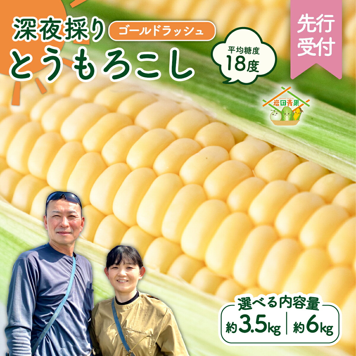 【ふるさと納税】【先行予約 令和8年産 2026年6月中旬以降発送 】 深夜採り 朝出荷 とうもろこし （ ゴールドラッシュ ） 【 選べる内容量/ 当日便 】 トウモロコシ 朝採り 甘い 新鮮 6kg 3.5kg スイートコーン コーン 野菜 極甘 岩田さん 2026 2026年発送 2026年先行受付