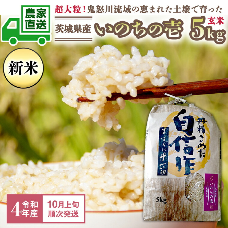令和3年 山形県 コシヒカリ 特別栽培米 白米10kg 一等米 5kg×2袋 令和3年 山形県 コシヒカリ 特別栽培米 白米10kg 一等米 5kg×2袋
