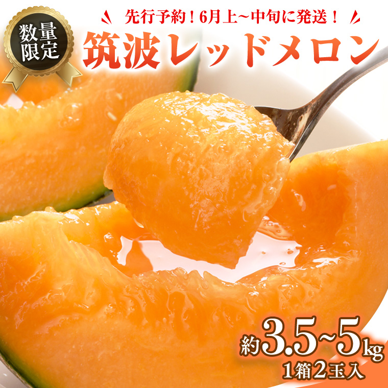 【ふるさと納税】筑波レッドメロン 1箱 2玉 入り（約 3.5kg ～ 5kg ）【2025年6月上旬以降発送】  メロン レッド  赤肉 甘い 期間限定 産地直送 果物 フルーツ