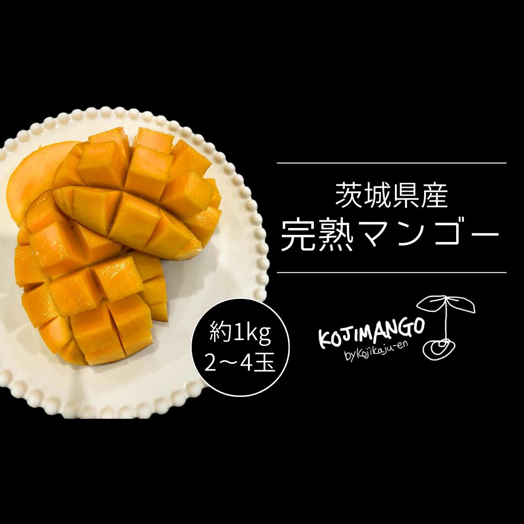 【ふるさと納税】【 先行予約 】 完熟マンゴー 約 1kg ( 2～4玉 ) アーウィン マンゴー 茨城県 八千代町
