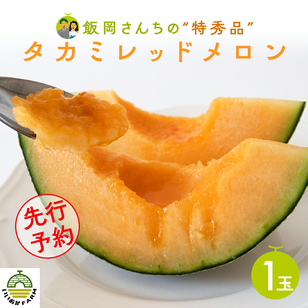 【ふるさと納税】【 令和7年産 】【 先行予約 】タカミレッドメロン 特秀品 1玉 糖度 16度以上 光センサー 厳選 プレミアム 飯岡 メロン 貴味 タカミ 赤肉 果物 フルーツ 贈答 ギフト 八千代町 茨城