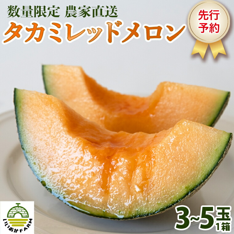 【ふるさと納税】【 令和7年産 】【 先行予約 】 タカミレッドメロン 秀品 1箱 3玉～5玉入り 飯岡 メロン 貴味 タカミ 赤肉 果物 フルーツ 甘い