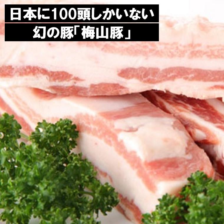 【ふるさと納税】国産 高級「梅山豚」豚バラ ブロック 650g |肉 豚肉 ブランド豚 バラ 茨城|茨城県境町