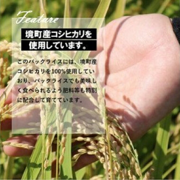 【ふるさと納税】【ごはんと明太子】境町産こしひかり使用低温製法のおいしいパックごはん180g×40個とかねふく明太?800gセット【国産米ライスパックパック米パックライスパックご飯保存食防災】
