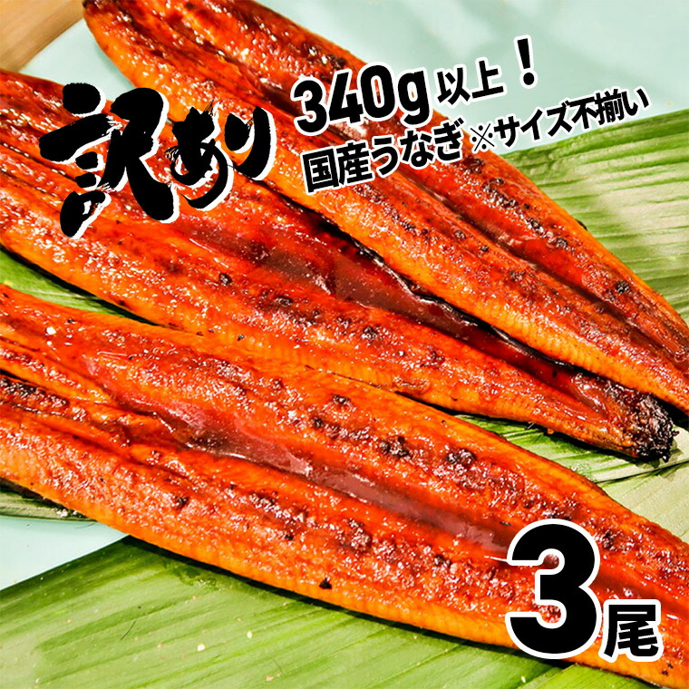 楽天市場】【ふるさと納税】豚こま 3kg いち美豚 バラ凍結 500g×6パック ｜肉 豚肉 茨城県産 小分け ジップロック 豚こま 豚コマ :  茨城県境町