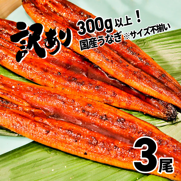 【ふるさと納税】訳ありさかい河岸水産国産うなぎ3尾340g以上！※不揃い|鰻ウナギ蒲焼き蒲焼コロナ緊急支援《ご希望の発送時期をお選びください》