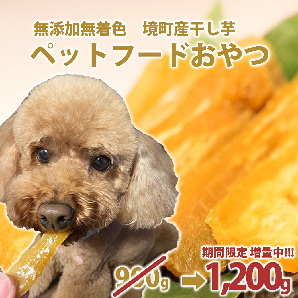 ＼TVで引き合わせるされました／茨城県境町の一般受けのしっぺい返し品特集