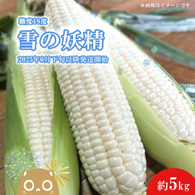 【ふるさと納税】【先行予約】【2025年6月下旬以降発送開始！】糖度18度前後 白い とうもろこし  「雪の妖精」 約 5kg 入り ｜茨城 野菜 トウモロコシ 1000セット 限定