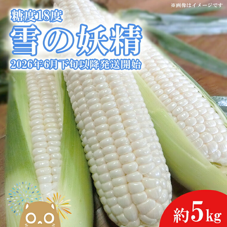【ふるさと納税】【先行予約】【2026年6月下旬以降発送開始！】糖度18度前後 白い とうもろこし 「雪の妖精」 約 5kg 入り ｜茨城 野菜 トウモロコシ 1000セット 限定 7,100円