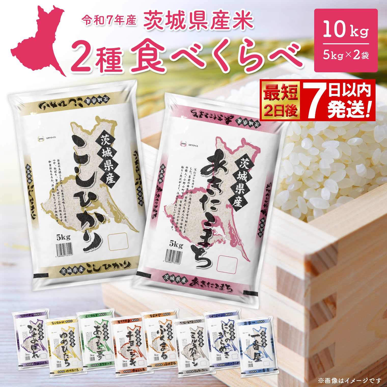 【ふるさと納税】米 10kg  ＜最短2日後発送＞or＜選べる配送時期＞ コシヒカリ 令和7年産 お米 2種 食べくらべ 10kg 茨城県産 2025年  令和7年 コメ こめ 送料無料 常温 配送  新生活 即納：茨城県境町