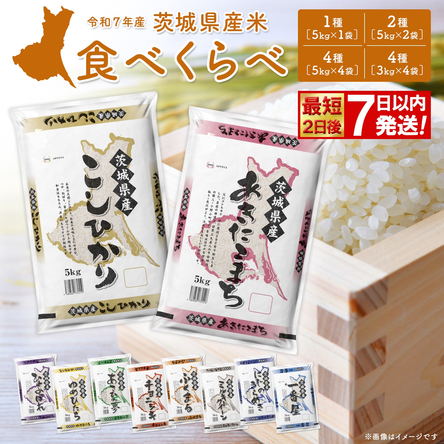 【ふるさと納税】寄附額改定!! 米 5kg 10kg 20kg コシヒカリ  ＜最短2日後発送＞or＜選べる配送時期＞ 令和7年産 茨城県産 お米 2種 4種 食べくらべ  3kg 12kg 30kg 精米 コメ 小分け 即納  送料無料 ランキング 1位 2025年産 ブランド米 3回 3ヶ月 定期便：茨城県境町