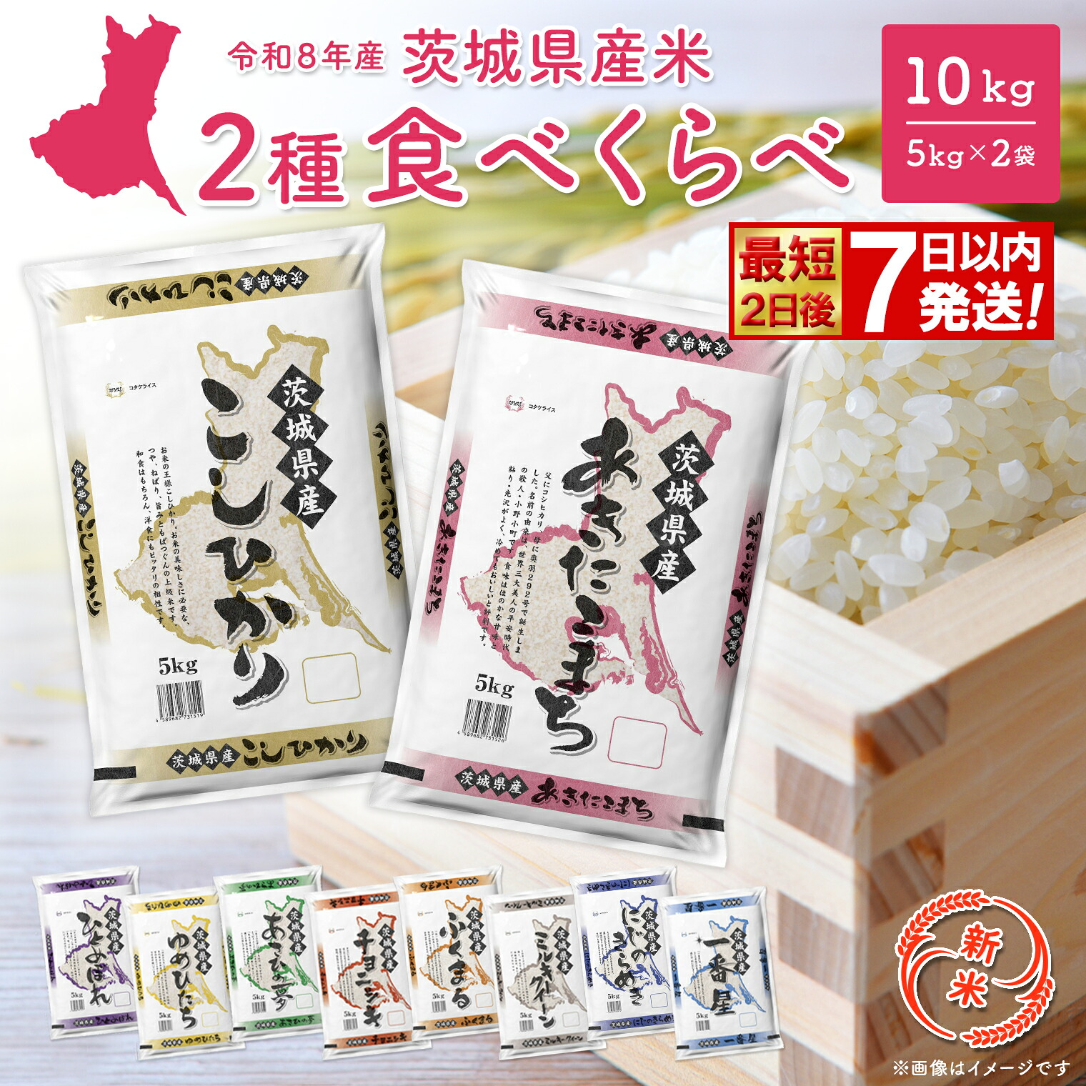 【ふるさと納税】米 10kg  ＜最短2日後発送＞or＜選べる配送時期＞ コシヒカリ 令和7年産 お米 2種 食べくらべ 10kg 茨城県産 2025年  令和7年 コメ こめ 送料無料 常温 配送  新生活 即納：茨城県境町