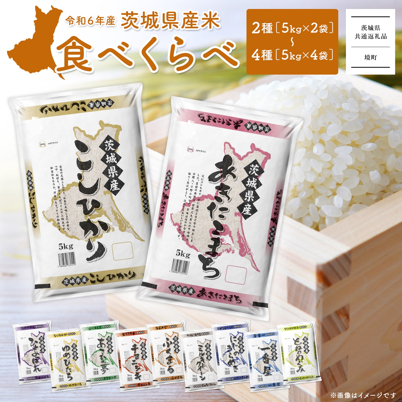 楽天市場】【ふるさと納税】境町オリジナル 富士見百景にごり ビール 350ml × 24本 48本 72本 定期便 | 新生活 入社祝い 父の日  母の日 発送時期が選べる 本数が選べる クラフトビール DHC : 茨城県境町