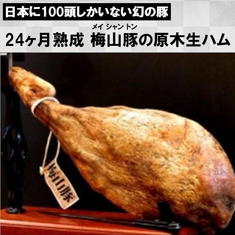 【ふるさと納税】《数量限定》 塚原牧場 幻の豚 高級「梅山豚」原木 生ハム 1本 ｜お肉 豚肉 国産 ハム ブランド豚｜茨城県境町
