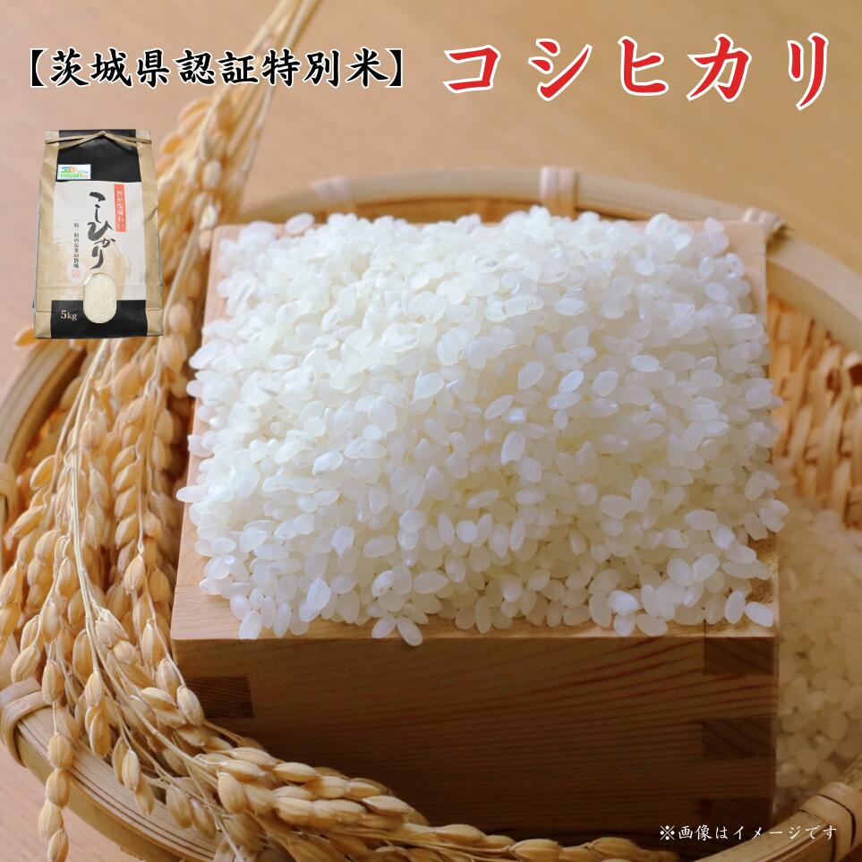 楽天市場】【ふるさと納税】【令和5年産】 コシヒカリ 白米 5kg