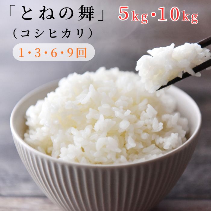【ふるさと納税】 選べる容量・回数《 令和7年産 》米 コシヒカリ 「 とねの舞 」 精米 / 米 こめ コメ お米 おこめ コシヒカリ こしひかり とねの舞 白米 ごはん 令和7年産 5kg 10kg 茨城県 利根町 送料無料|茨城県利根町