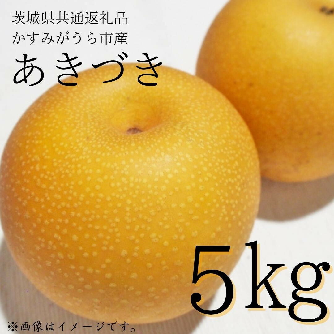 【ふるさと納税】 梨 「 あきづき 」 5kg （茨城県共通返礼品・かすみがうら市産）