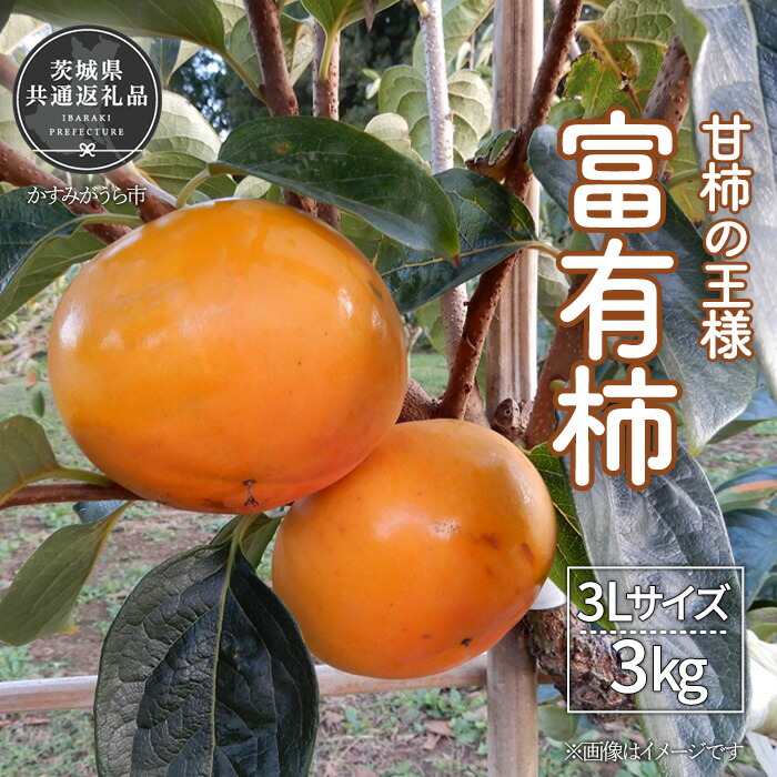 【ふるさと納税】【2025年先行予約】 ＼大玉秀品／有機肥料を中心に栽培された高級品種柿「富有柿」3kg（10～12玉）朝どり産地直送（茨城県共通返礼品・かすみがうら市産）