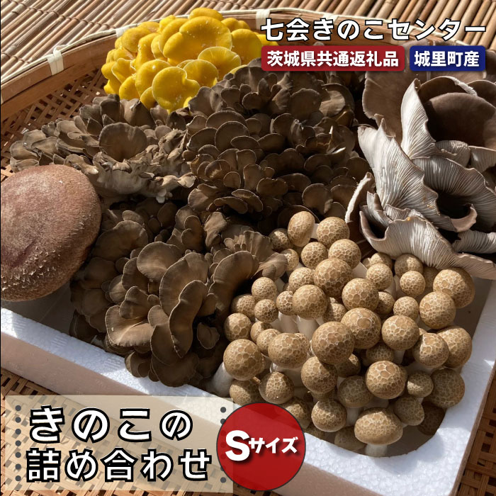 【ふるさと納税】きのこ詰め合わせ Sサイズ(茨城県共通返礼品/城里町産) / 茨城県 利根町 きのこ キノコ 舞茸 椎茸 あわび茸 たもぎ茸 はなびら茸|茨城県利根町