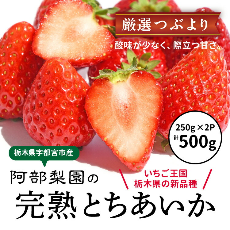 【ふるさと納税】阿部梨園の完熟とちあいか（厳選つぶより） ※離島への配送不可 ※2025年12月上旬～2026年5月中旬頃に順次発送予定