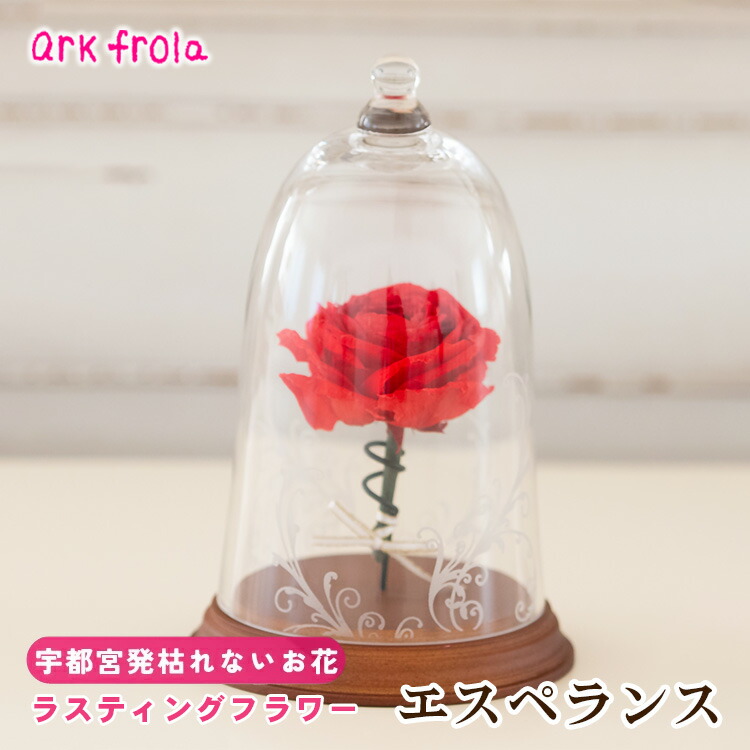 【ふるさと納税】エスペランス 32,500円