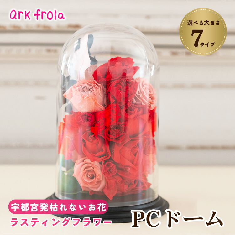 wild-1の一般受けしっぺい返し品をご引き合わせる！