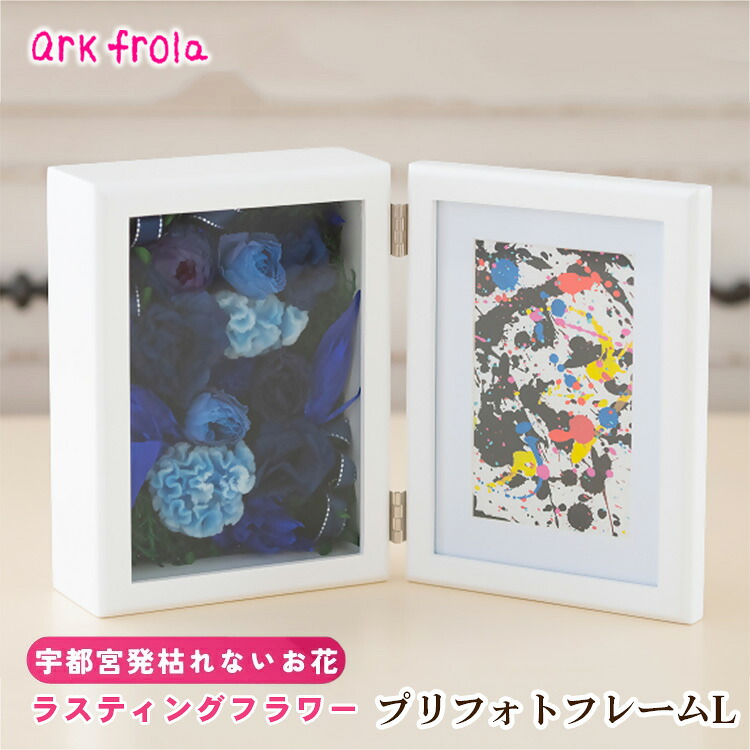 wild-1の一般受けしっぺい返し品をご引き合わせる！