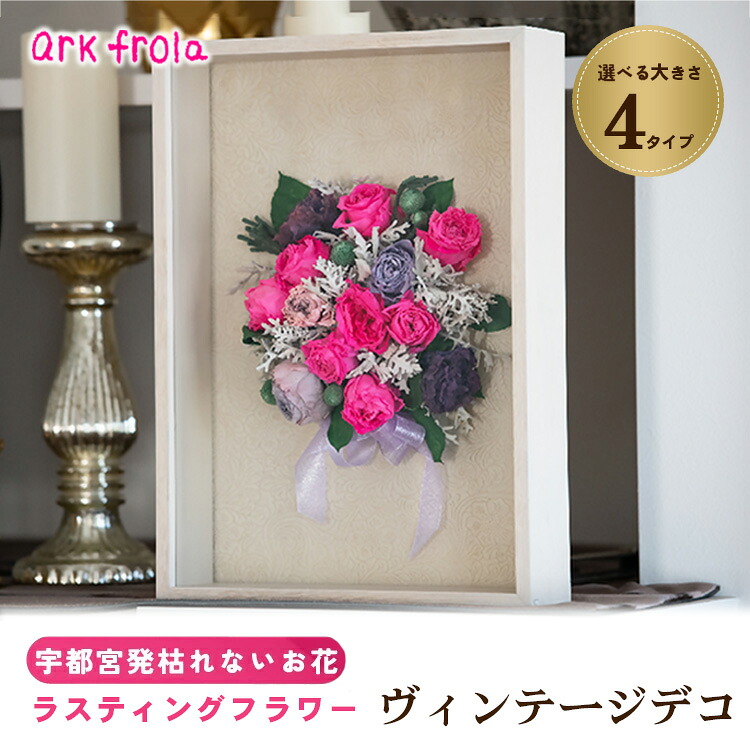 wild-1の一般受けしっぺい返し品をご引き合わせる！