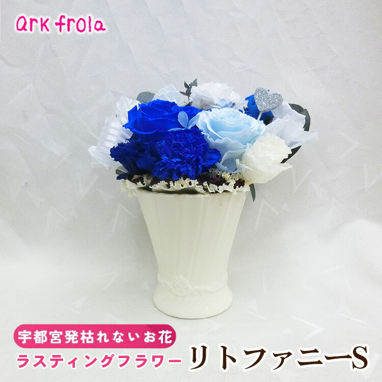 wild-1の一般受けしっぺい返し品をご引き合わせる！