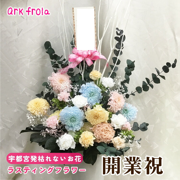 wild-1の一般受けしっぺい返し品をご引き合わせる！