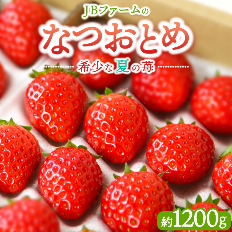 【ふるさと納税】【先行予約】【産地直送】JBファームのなつおとめ（約1200g） ｜ 栃木県宇都宮市 いちご イチゴ 苺 なつおとめ ※2025年6月上旬～2026年1月下旬頃に順次発送予定