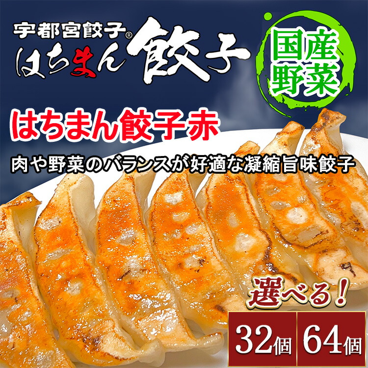 餃子 楽天市場】【ふるさと納税】【選べる内容量】宇都宮餃子