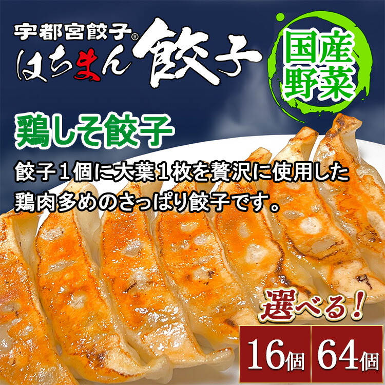 餃子 楽天市場】【ふるさと納税】【選べる内容量】宇都宮餃子