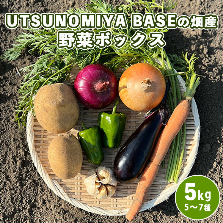 除菌済！送料込美品！ディズニーミッキーマウス　 ４段衣類収納ケース 楽天市場】◇ 4段ワイド ◇【Disney】 ディズニー 樹脂チェスト