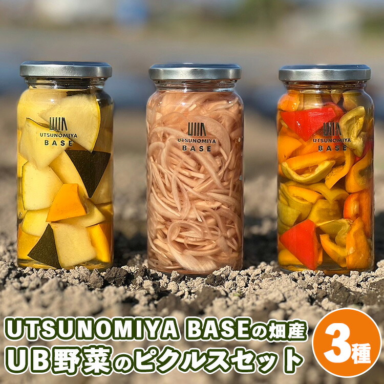 【ふるさと納税】UTSUNOMIYA BASEの畑産 UB野菜のピクルス【3種セット】|栃木県宇都宮市