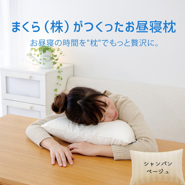 wild-1の一般受けしっぺい返し品をご引き合わせる！