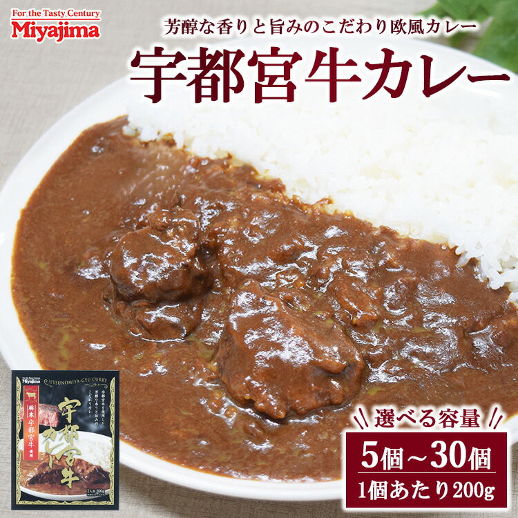 【ふるさと納税】【選べる容量】宇都宮牛カレー 200g 5個~30個セット|栃木県宇都宮市