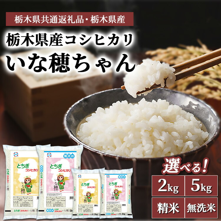 【ふるさと納税】【選べる!】栃木県産コシヒカリ いな穂ちゃん 2kg～5kg【栃木県共通返礼品・栃木県産】