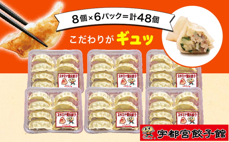 【ふるさと納税】「宇都宮餃子館」の スタミナ餃子 8個入り×6パック(計48個)【 餃子 冷凍 ぎょうざ 栃木県 宇都宮市 】※配送不可地域:離島