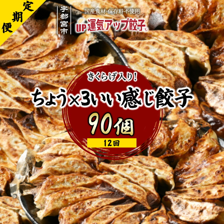 【ふるさと納税】【定期便12回】宇都宮餃子 運気アップ餃子 ちょう×3いい感じ餃子 (90個×12回 合計1,080個)※配送不可地域:離島|栃木県宇都宮市